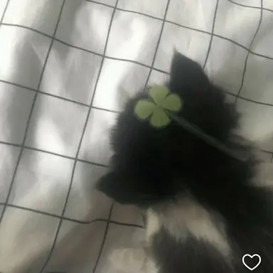 Profile image of 아름