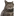 째깐이