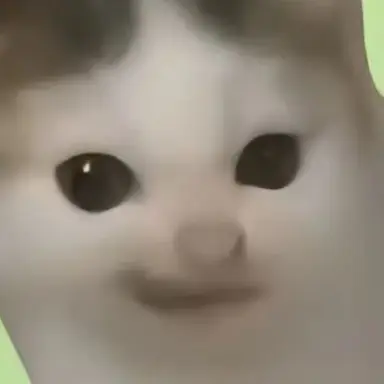 Profile image of 르페