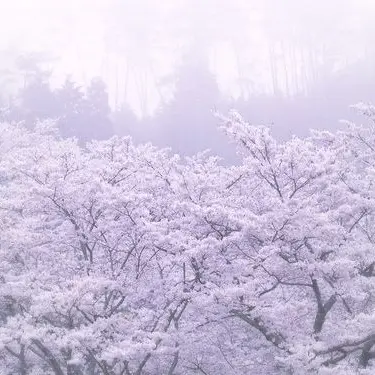 Profile image of 星導ショウ