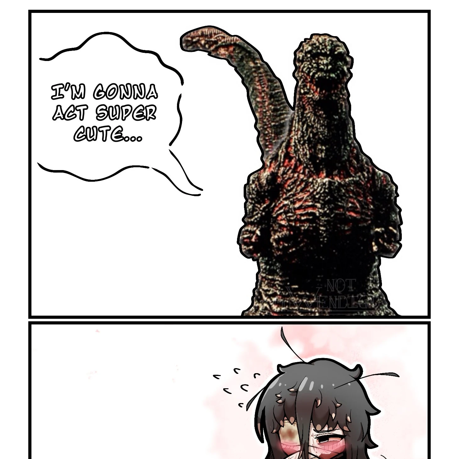 원본 쨜