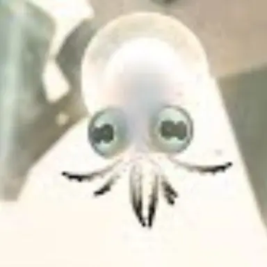 Profile image of コダコ