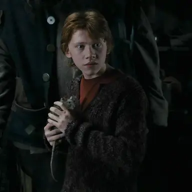 Profile image of Ron Weasley