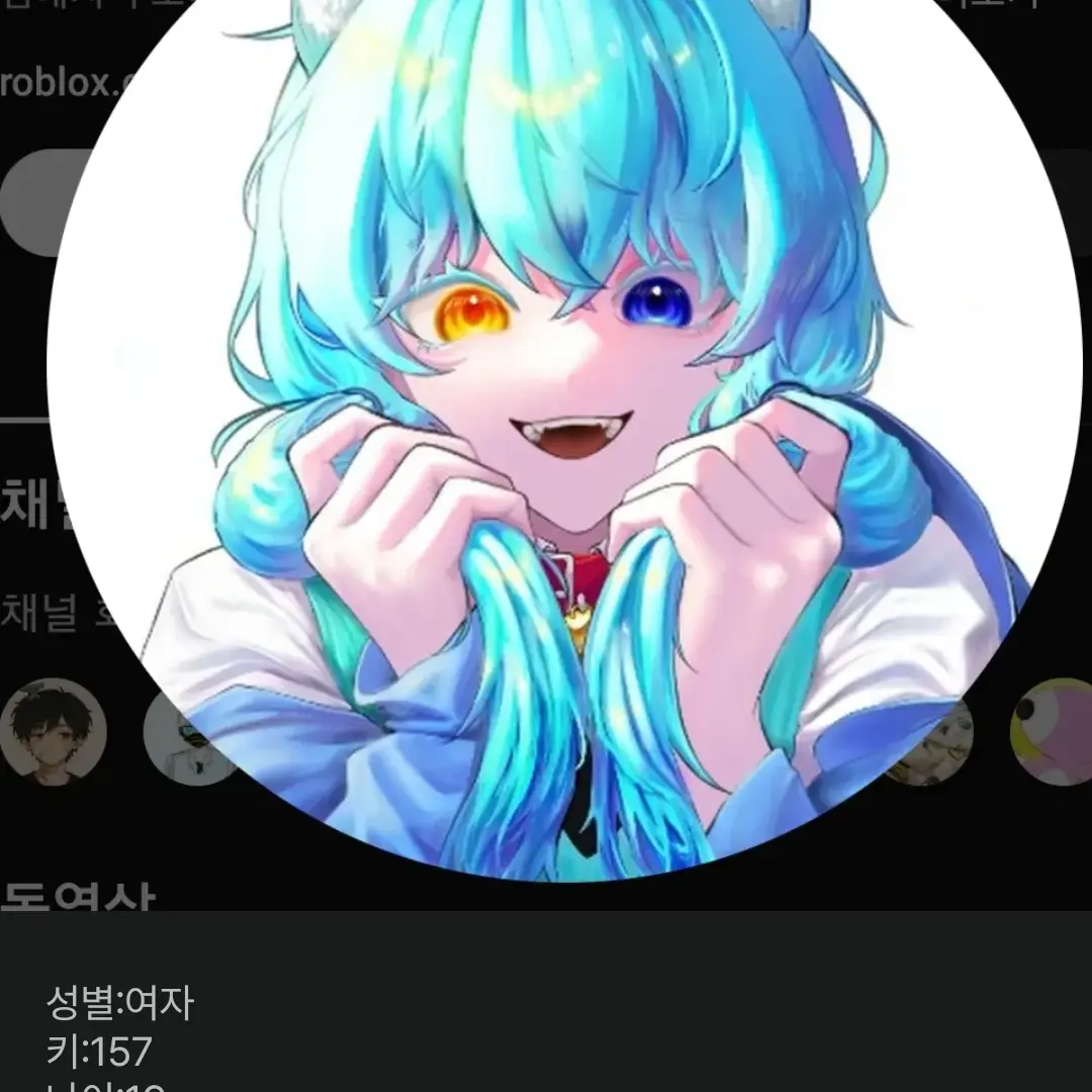 LameAunt0290의 료미