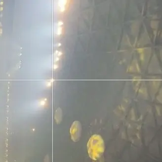 Profile image of 岸優太