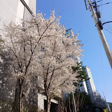 Profile image of 감J