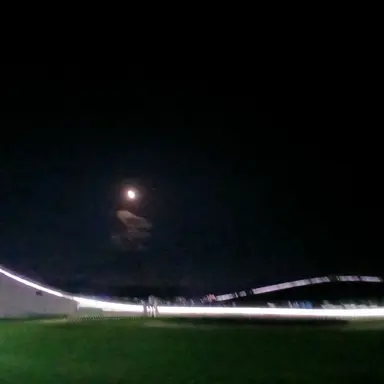 Profile image of 하루토