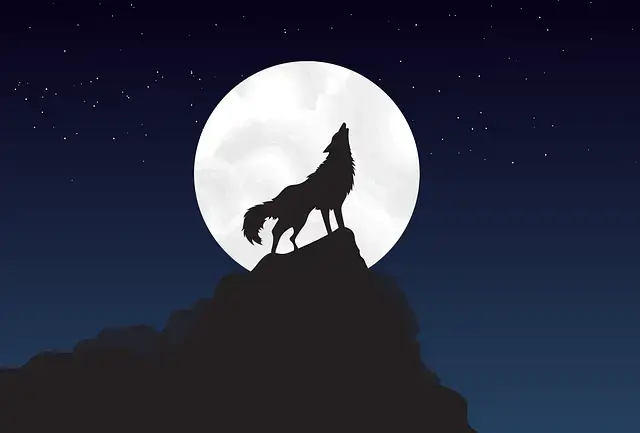 Profile image of ロウロウ