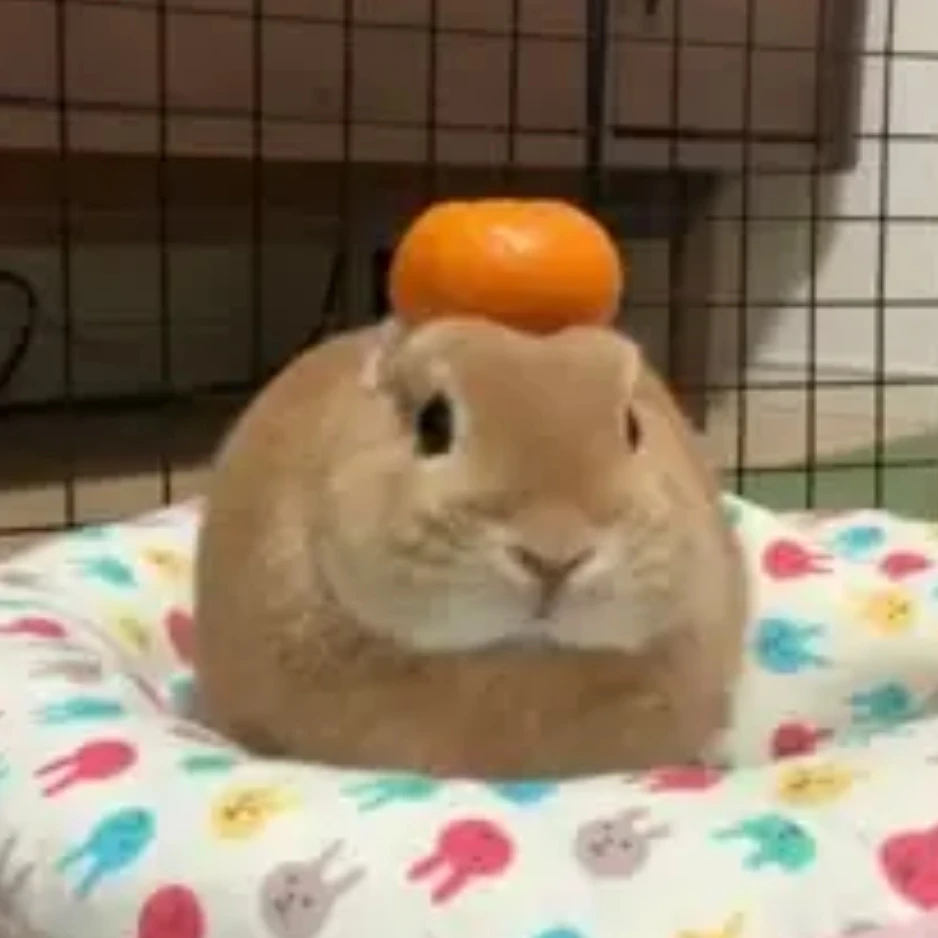 정주빈