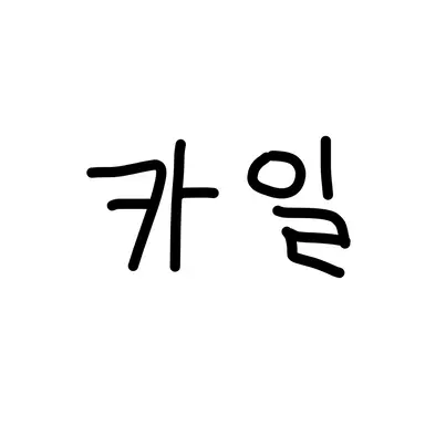 Profile image of 카일