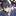 素直になれない悟くん。