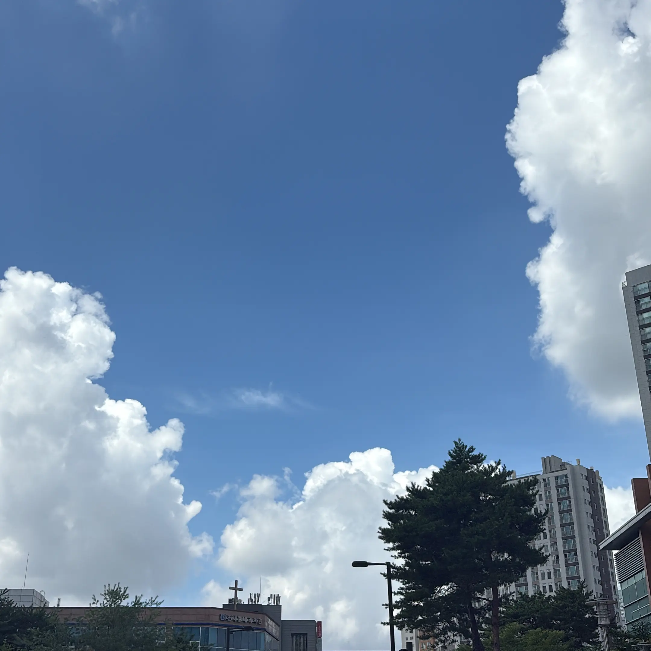 Yongbok_lixx의 황현진      신고ㄴㄴ