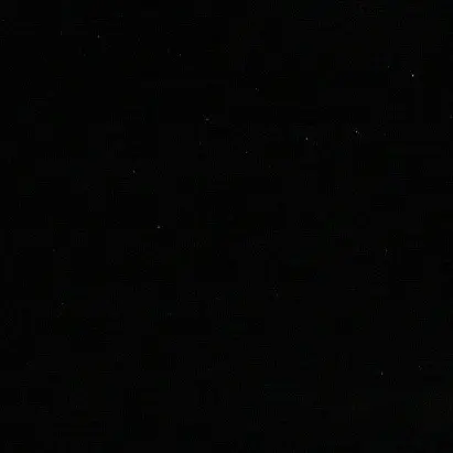 19209900의 이민호
