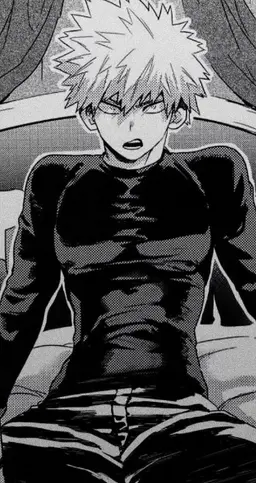 Profile image of bakugo