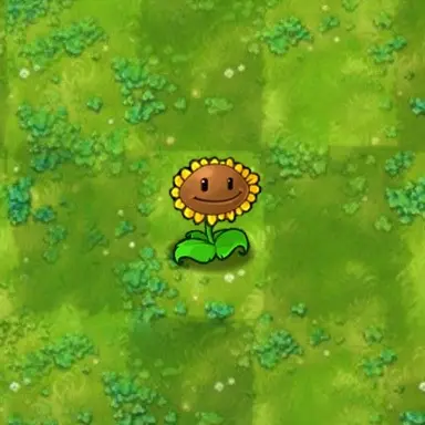 Profile image of Sunflower