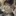 강준휘