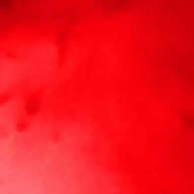 Profile image of 曽野舜太