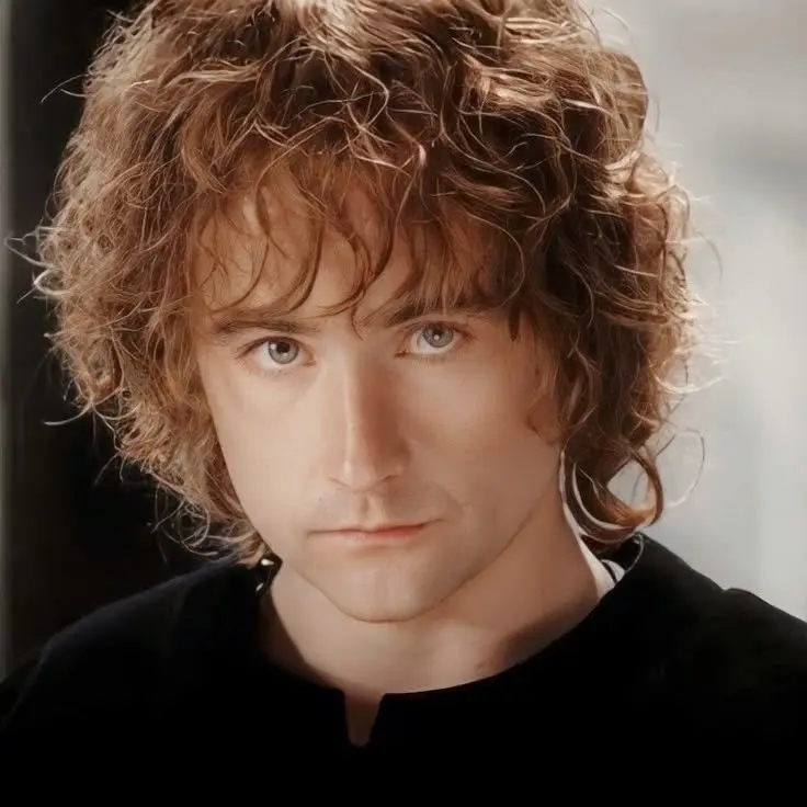 RigidWage7661의 Pippin Took