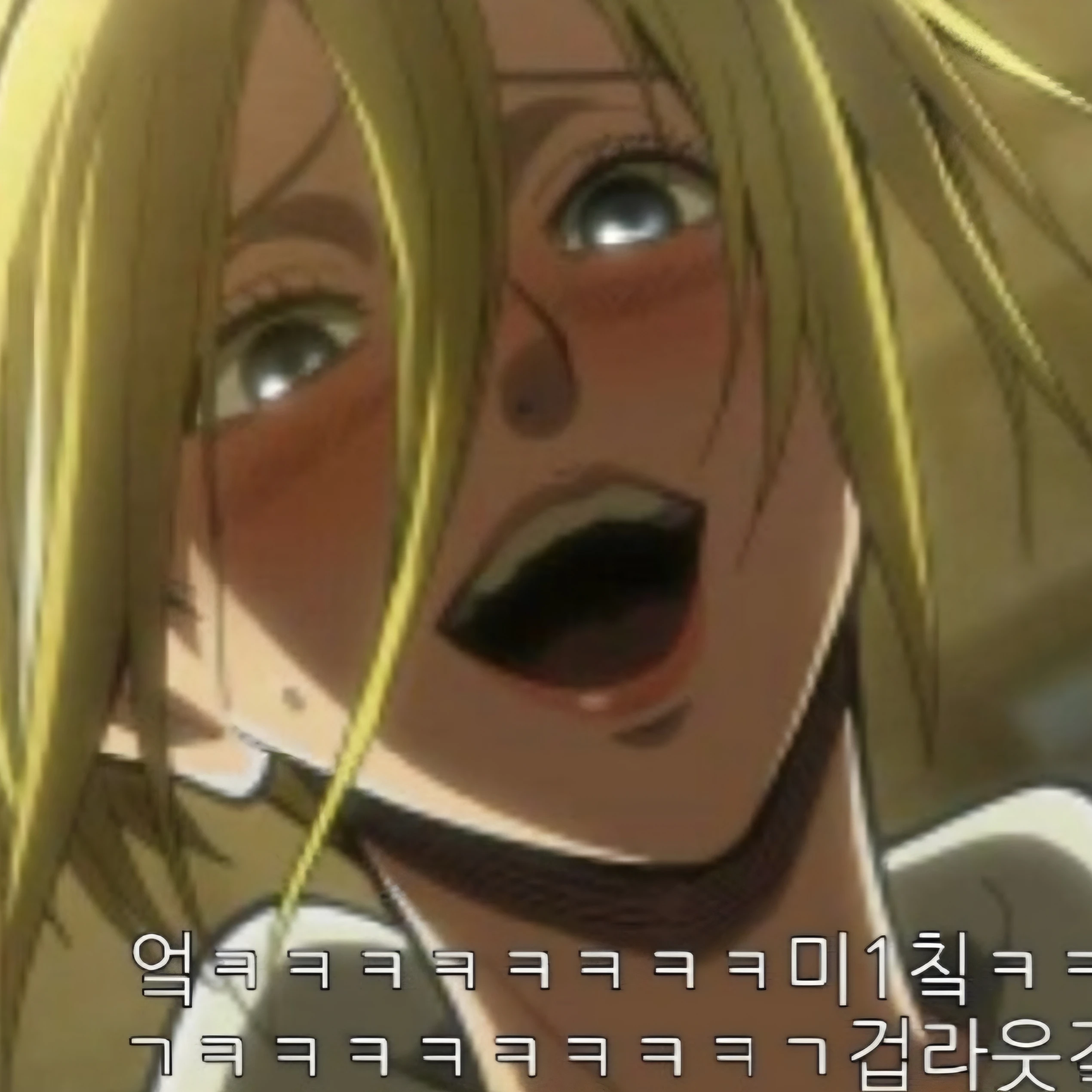 애니 레온하트