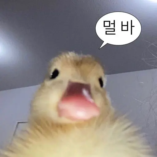 Oouuotti1234의 멀바