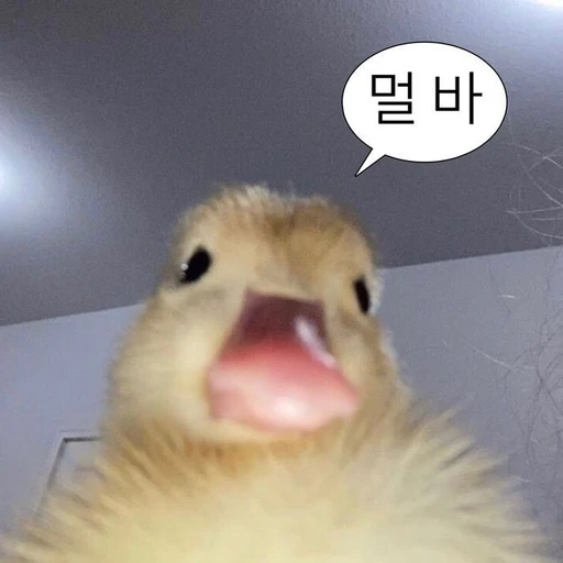 멀바