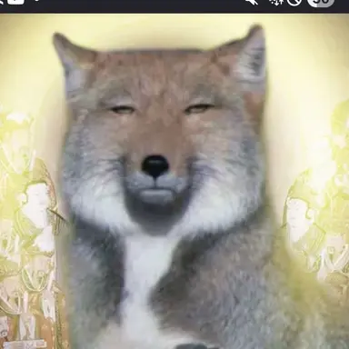 Profile image of 여우