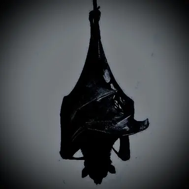 Profile image of 벨리아