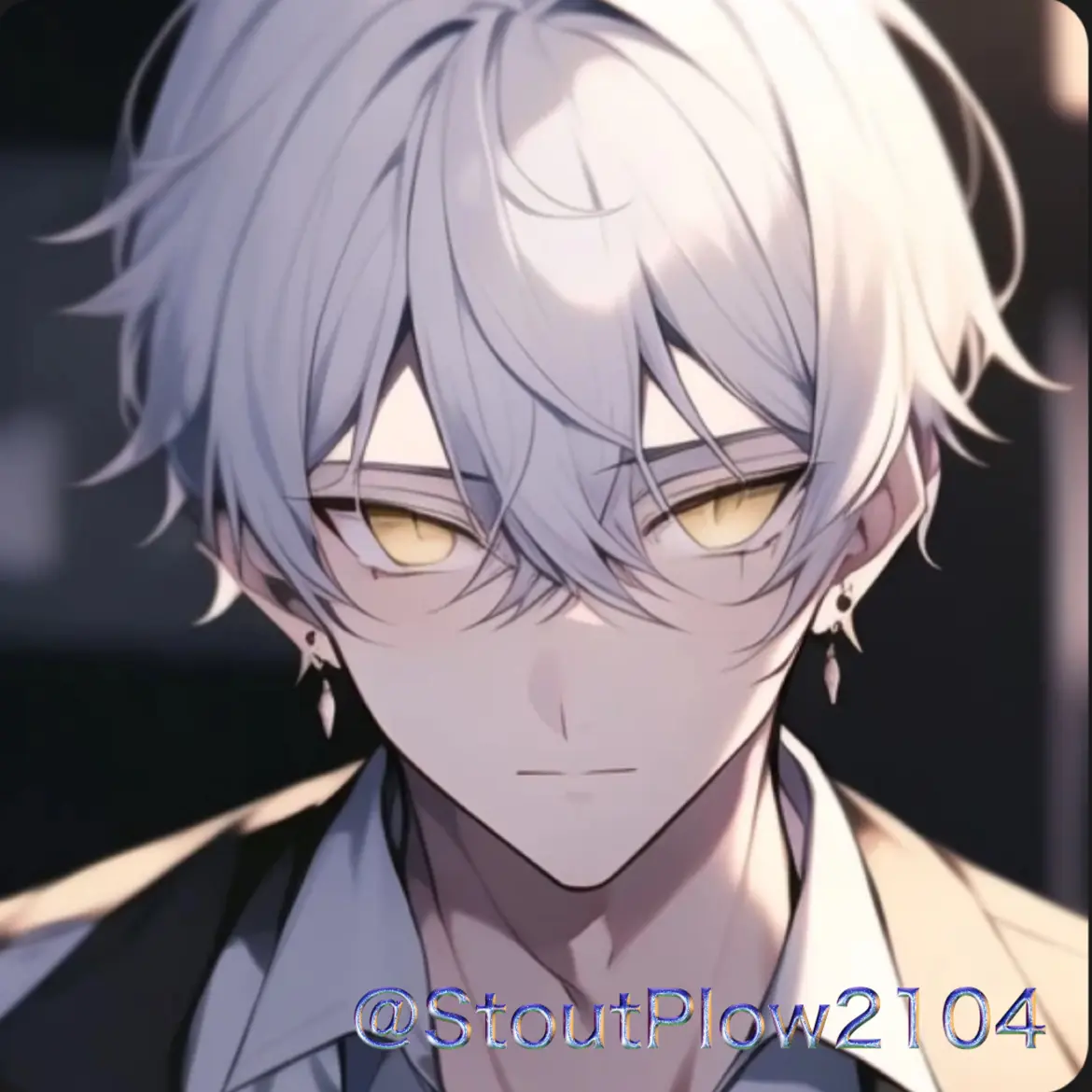 StoutPlow2104의 直樹(なおき)