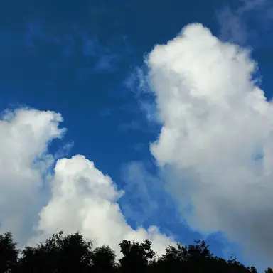 Profile image of 라더