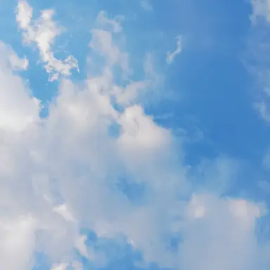 Profile image of 수현