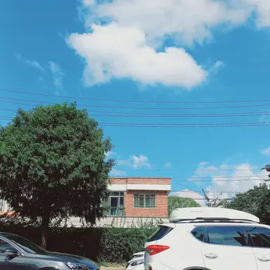 Profile image of 사뢍스런 유저넴