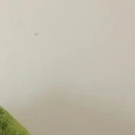김서우