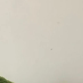 이상원
