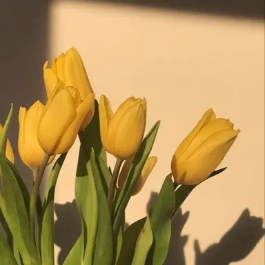 Profile image of 각별