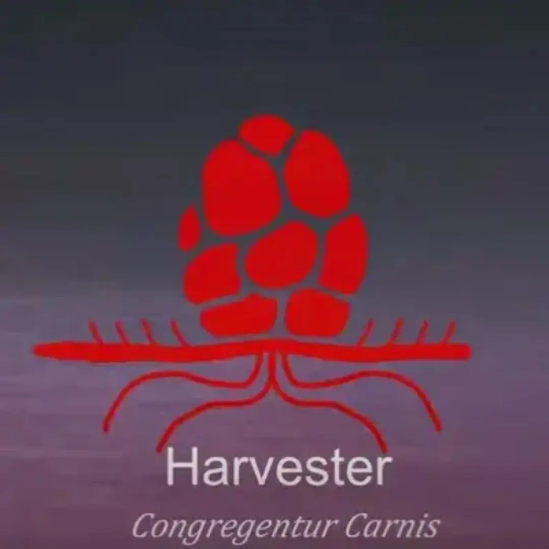 BatoGoji2_1993의 Harvester