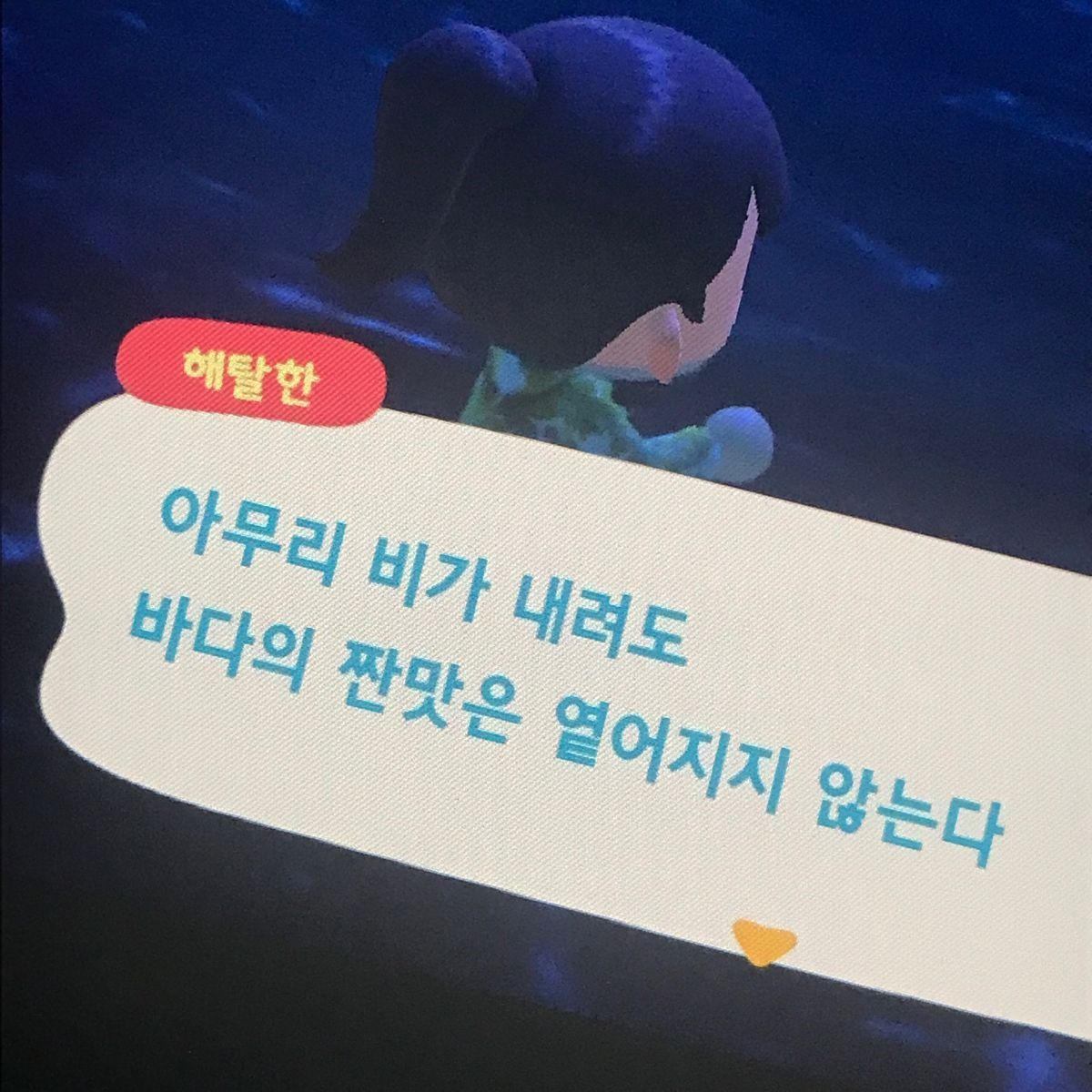배진솔 대표 이미지