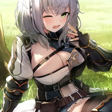 Profile image of 白銀ノエル