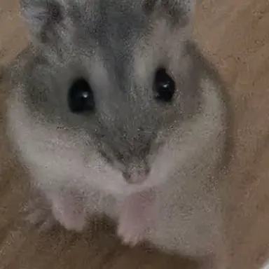 Profile image of 레오루나