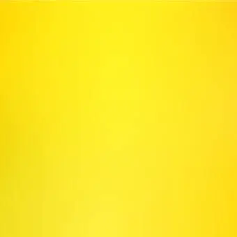 Profile image of シャオロン