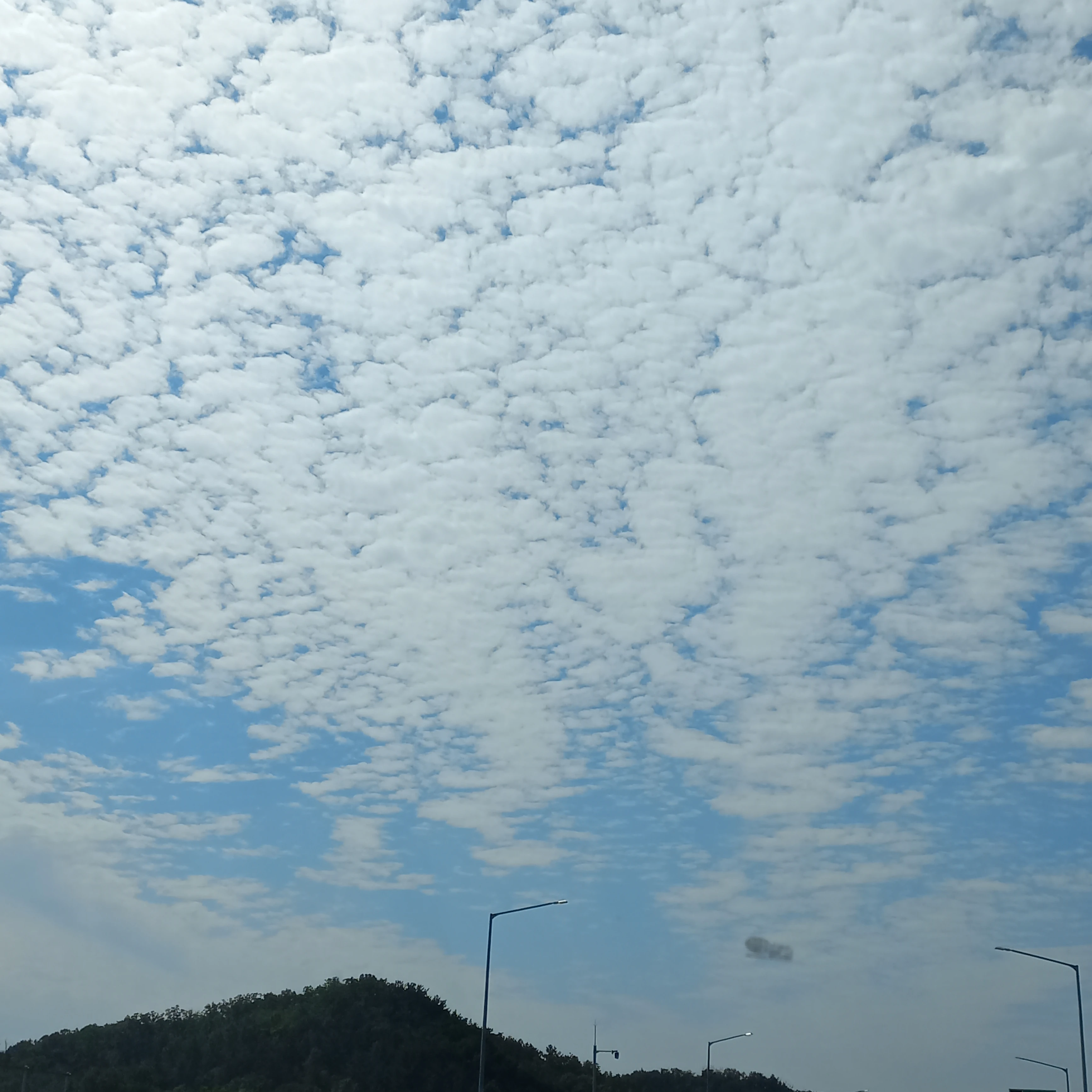 명나라