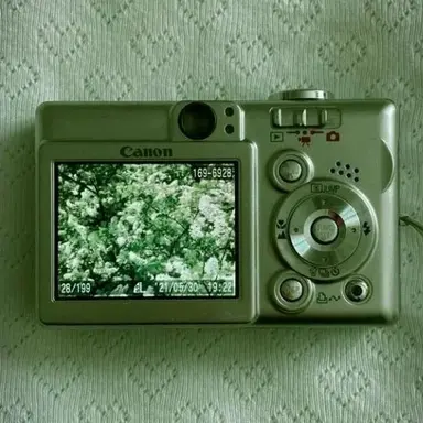 Profile image of 공룡