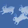 Profile image of 달토끼