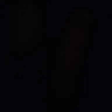 Profile image of Caporegime