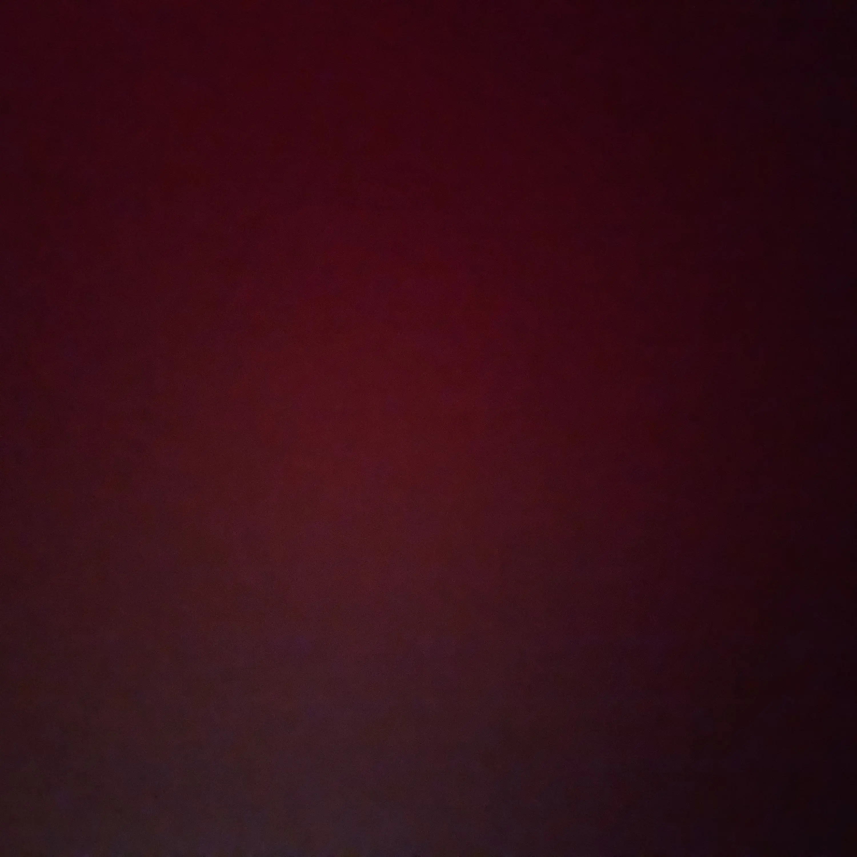 GustyForte2972의 햄스터