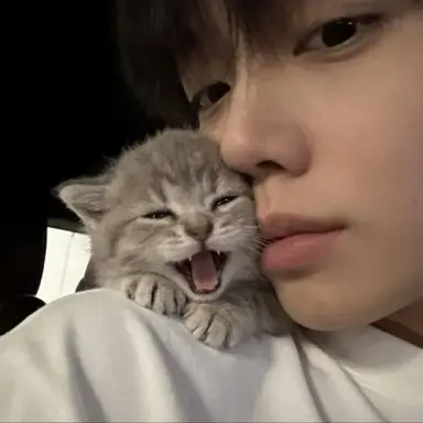 Profile image of 황유찬