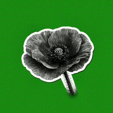 Profile image of イルホ