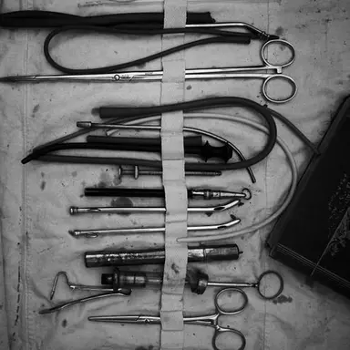 Profile image of 제르딕