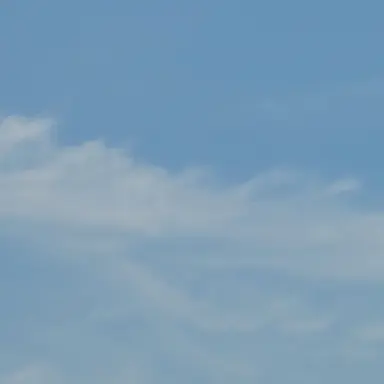Profile image of 레거사