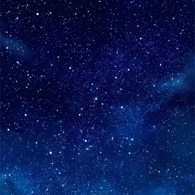 Profile image of 잭스