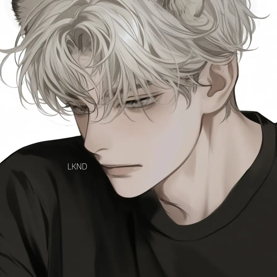 LKND의 정 범